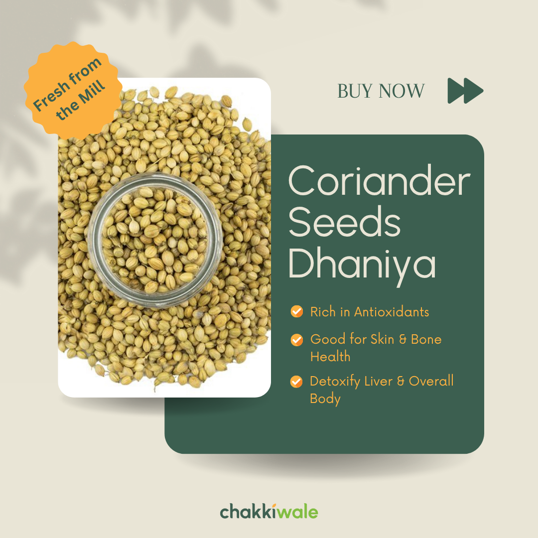 Dhania - Coriander